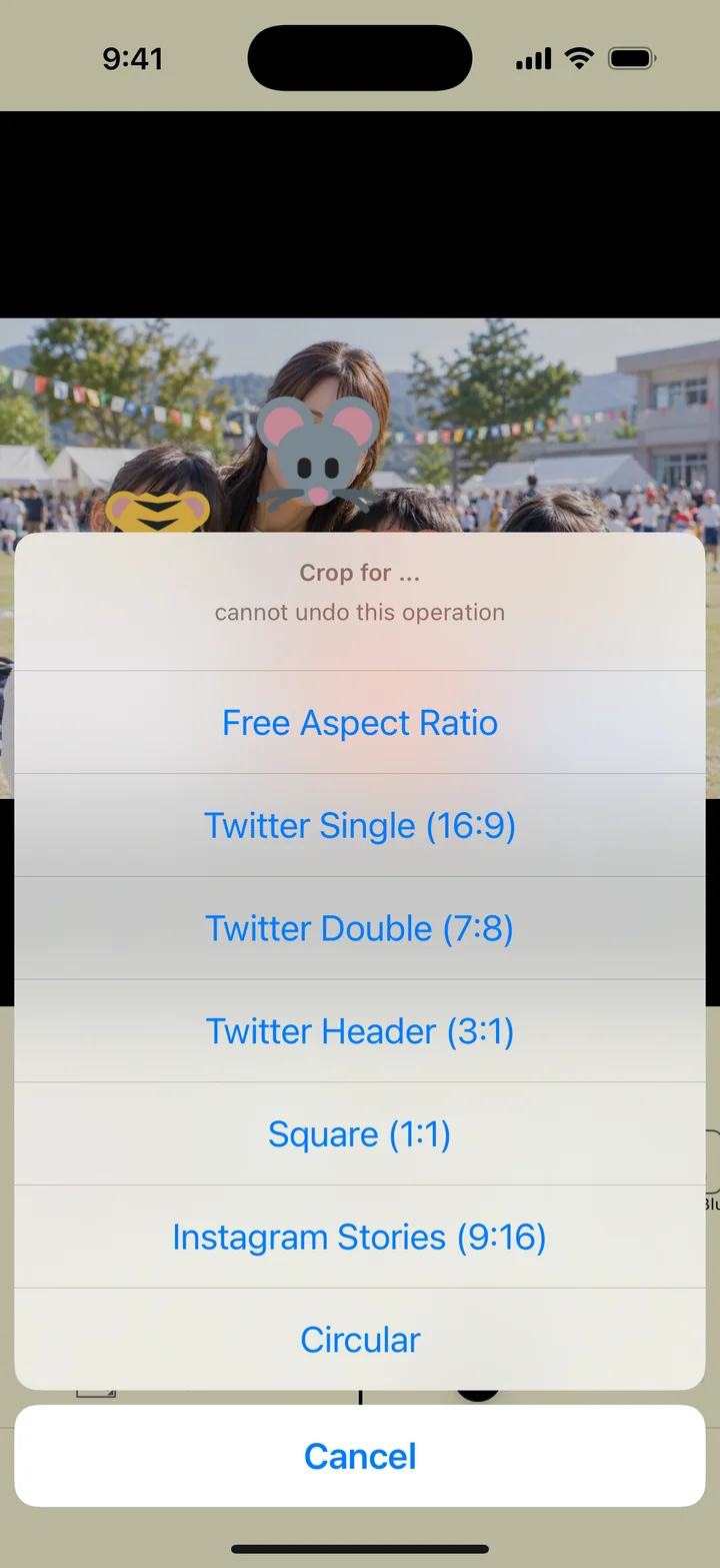 The menu for choosing a crop aspect ratio