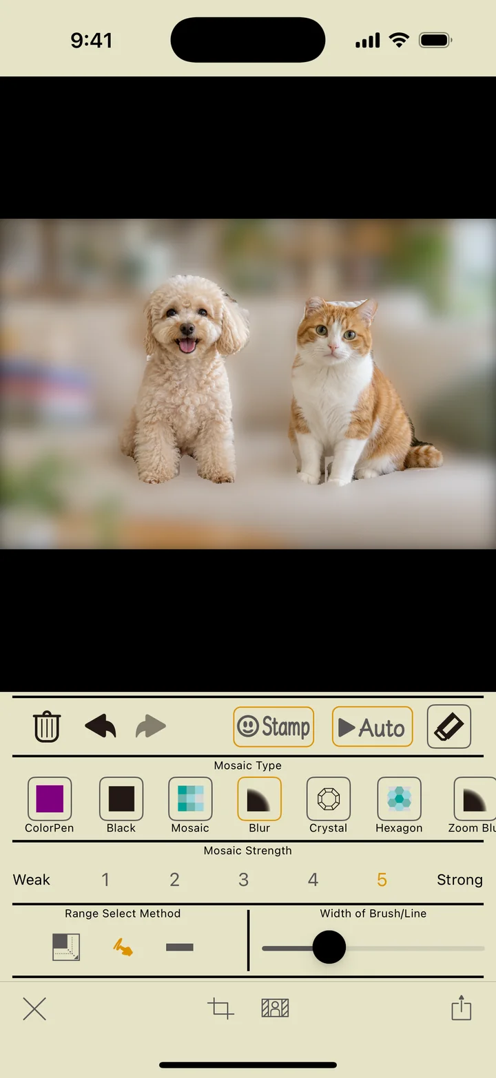 Keeping the dog and cat while blurring the surroundings