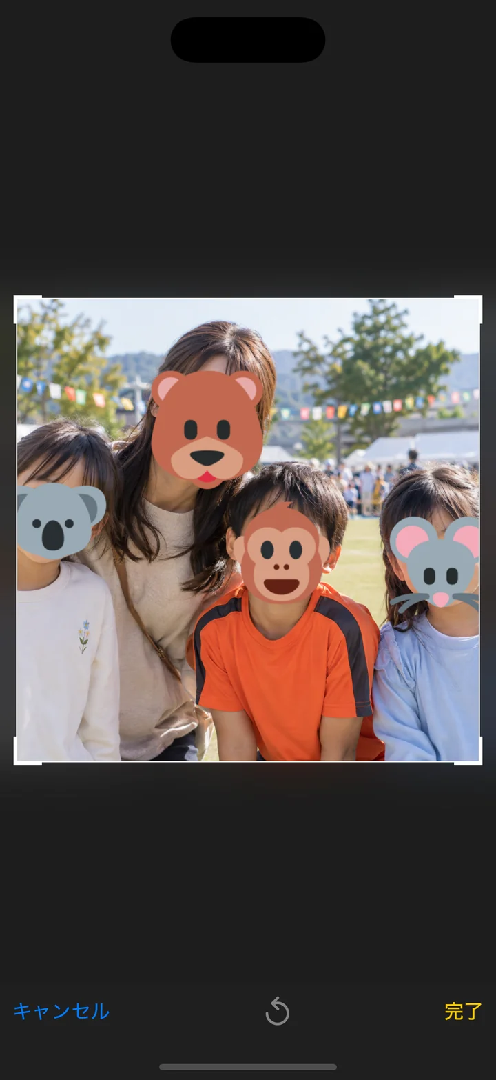 正方形の範囲を確認し、右下の完了で確定する画面