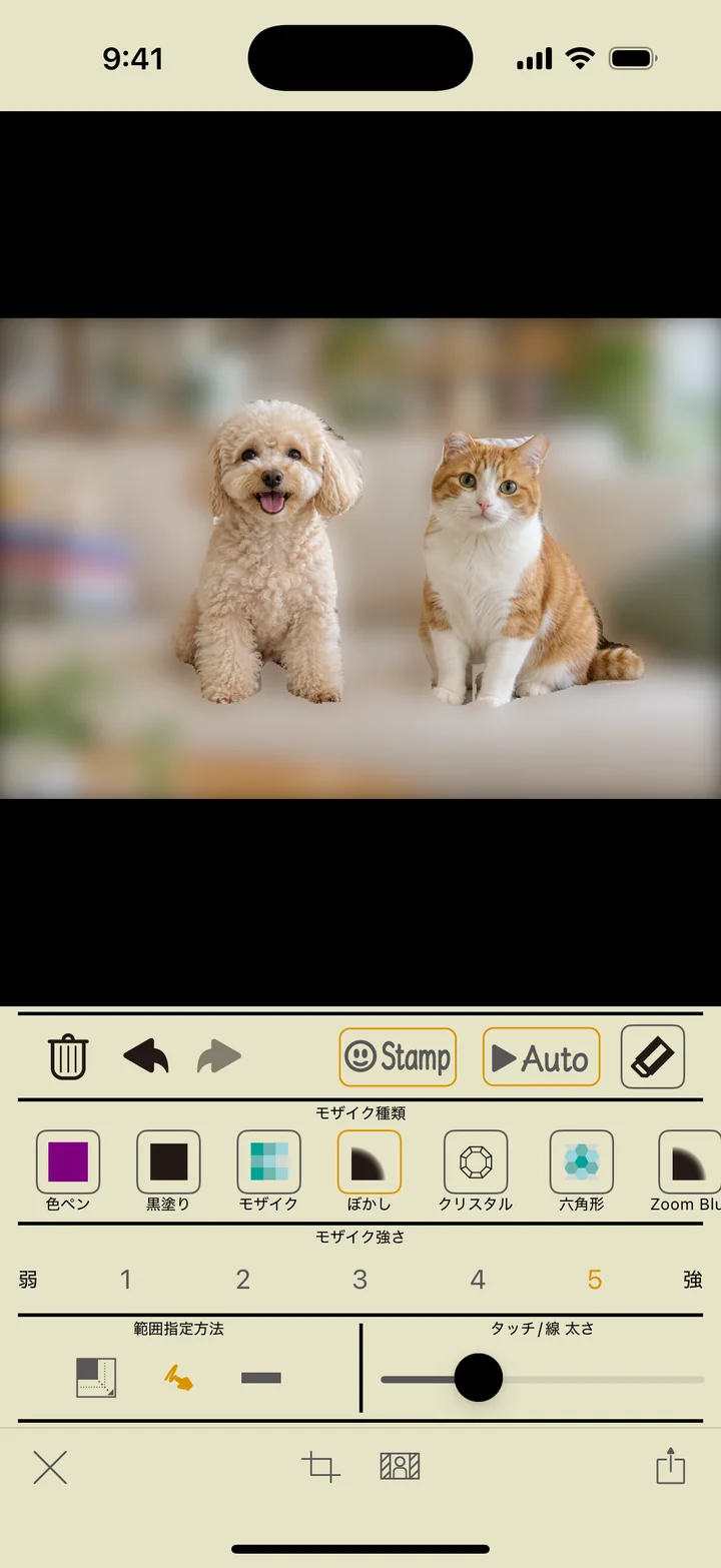 犬と猫を残して、周囲をぼかした画面